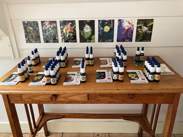 flesjes met bloesems op tafel met foto's van bloemen